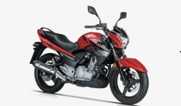 豪爵最新爆料新闻视频大全,揭秘新闻视频大全背后的精彩瞬间